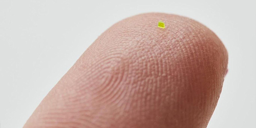 کوچک‌ترین کیف جهان که فقط زیر میکروسکوپ دیده می‌شود؛ این کیف را دقیقا چه کنیم؟!
