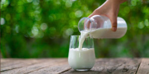 بهترین زمان نوشیدن شیر برای کاهش وزن؛ اگر دقیقا در این زمان شیر را بخورید، حسابی لاغر می‌شوید!
