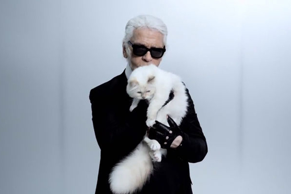 روز صاحبان گربه