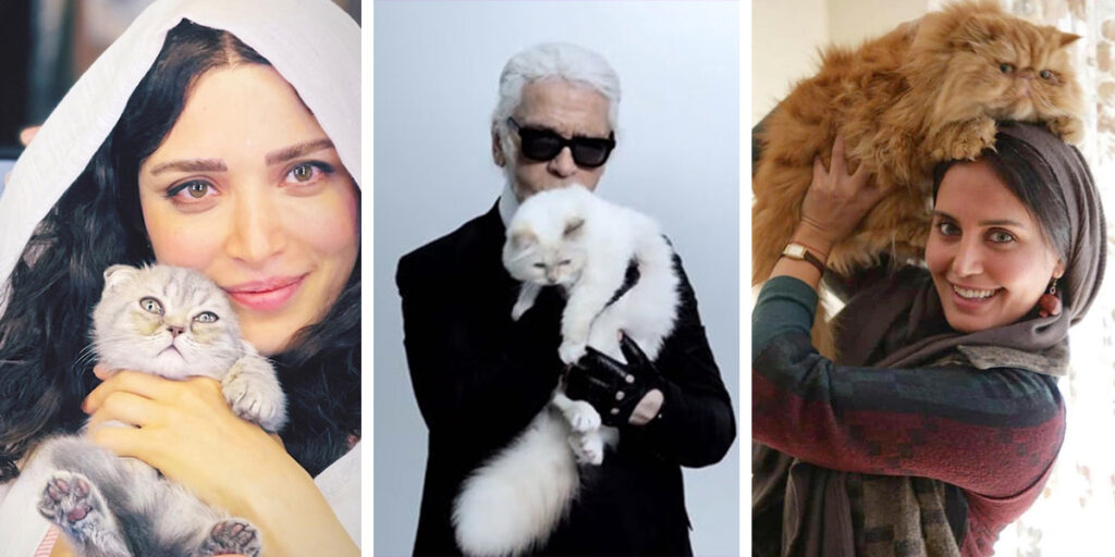 این چند سلبریتی ثابت کردند که صاحبان گربه‌ها خوشپوش‌تر از مردم عادی هستند!