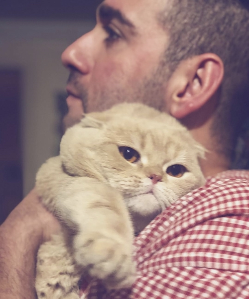 روز صاحبان گربه