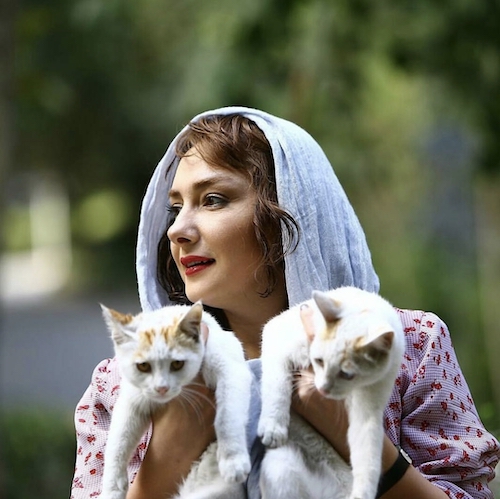 روز صاحبان گربه