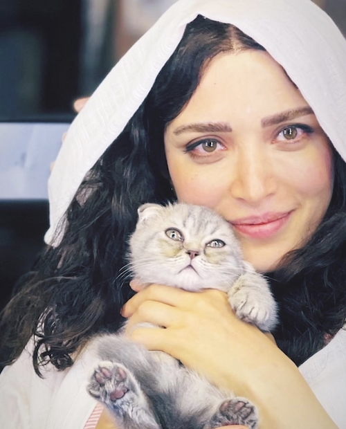 روز صاحبان گربه