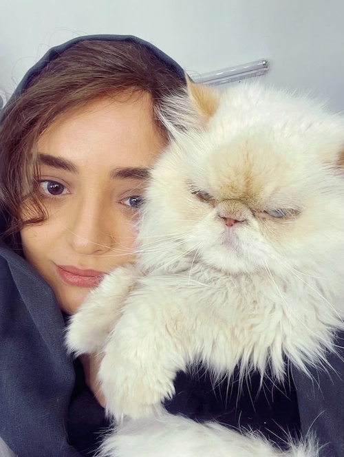 روز صاحبان گربه