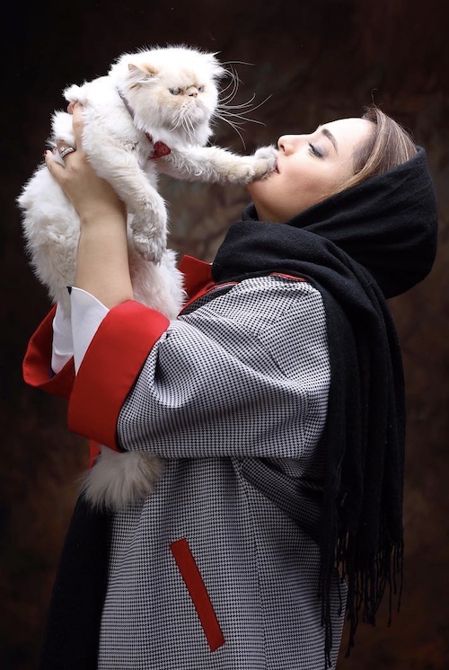 روز صاحبان گربه