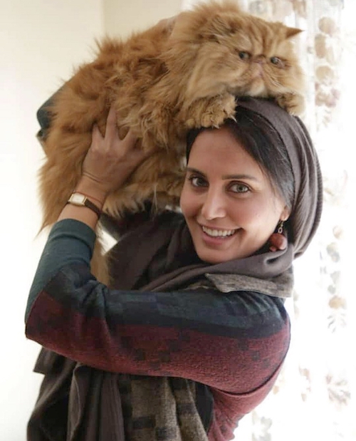 روز صاحبان گربه