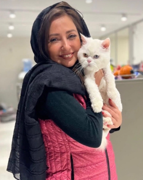 روز صاحبان گربه