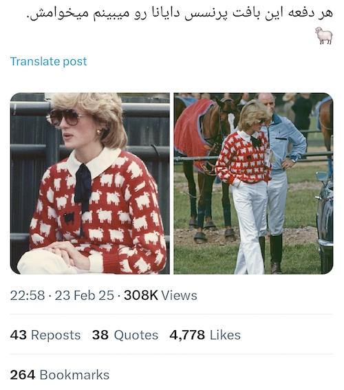 بلوز بافت پرنسس دایانا