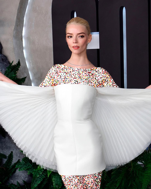 کپیکاری برند دیور