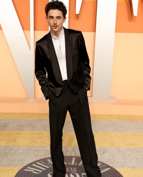 سلبریتی‌ها در مهمانی ونیتی فر ۲۰۲۵