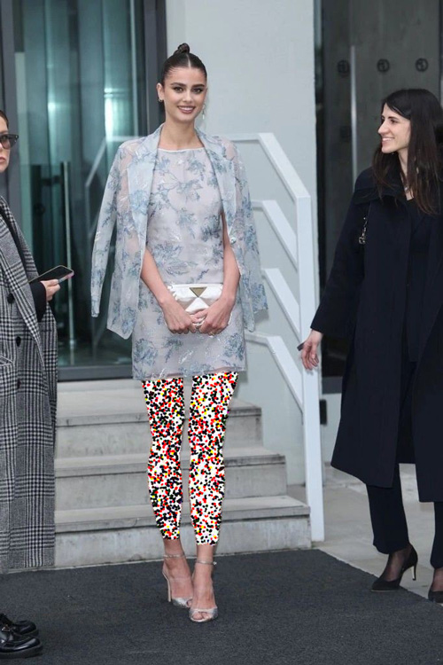 تولد ۲۹ سالگی تیلور هیل