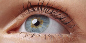 بهترین رنگ لنز برای شما کدام است؟ قبل از خرید لنز رنگی این نکات طلایی را بدانید