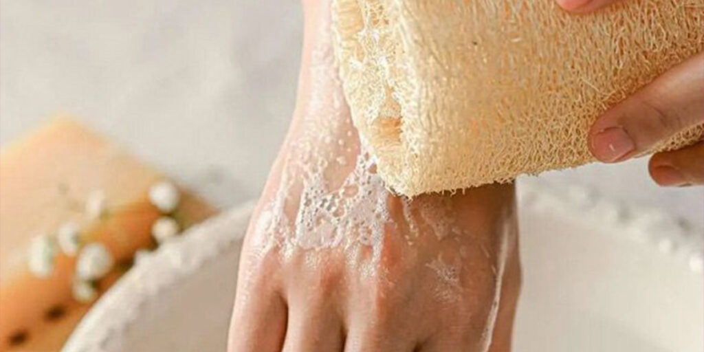 لوفا و کاربرد آن