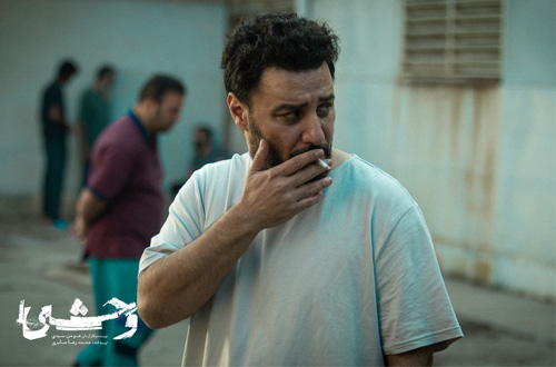 بررسی فضاسازی در «وحشی»