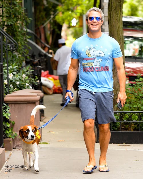 دمپایی‌ لاانگشتی سلبریتی‌ها