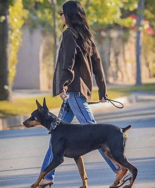 تغییر سبک پوشش خیابانی کندال جنر