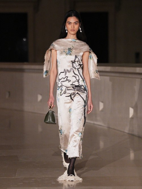 کفش‌های عجیب برند اردم