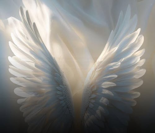 معنای پیرسینگ‌های صورت