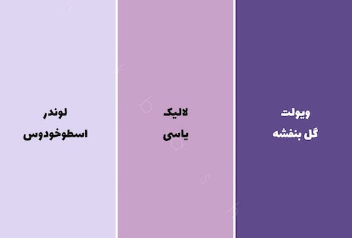 اسامی دقیق رنگ‌ها