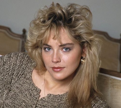 درآمد شارون ستون از مدلینگ