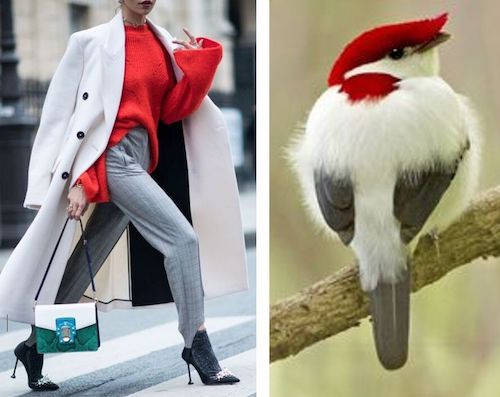 ترکیب رنگ طبیعت