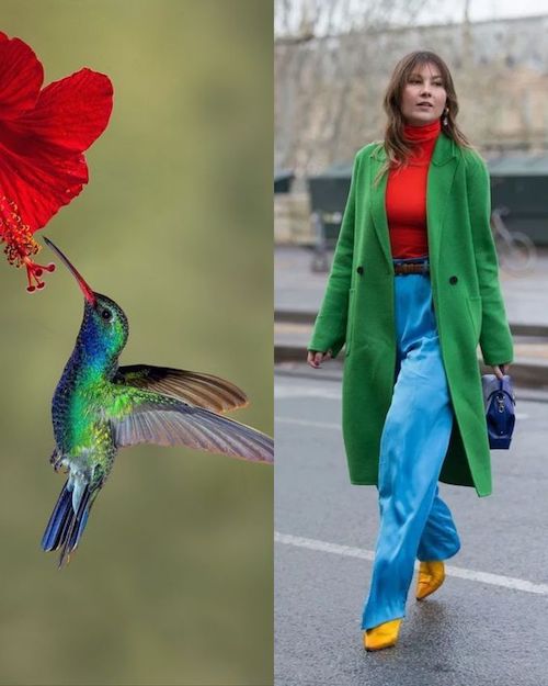 ترکیب رنگ طبیعت