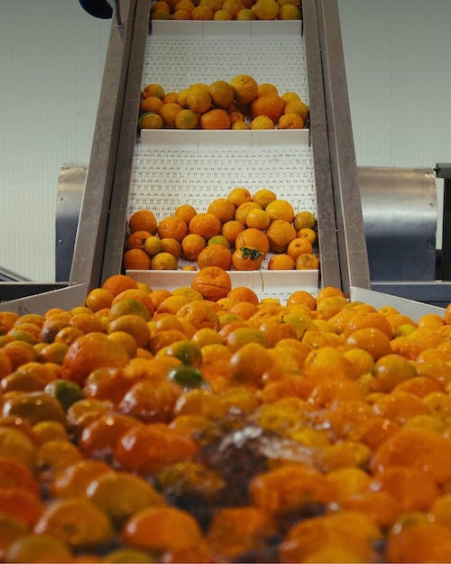 تی‌شرت از پوست میوه