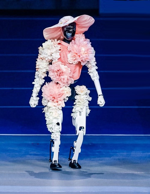 کتواک رفتن رباتها