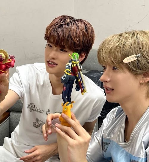 گیرهموهای محبوب