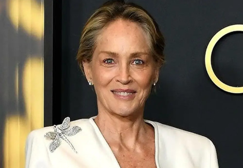 درآمد شارون ستون از مدلینگ