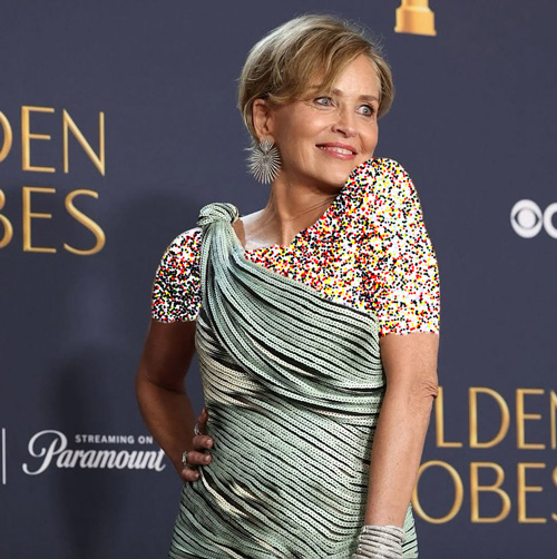 درآمد شارون ستون از مدلینگ