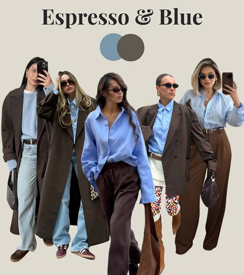 ترکیب رنگهای متحولکننده استایل