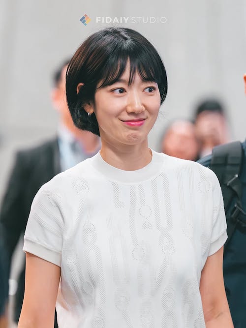 استایل فرودگاهی پارک شین هه