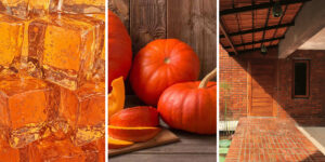 از نارنجی پرتقالی تا نارنجی ایرانی؛ با انواع رنگ نارنجی آشنا شوید