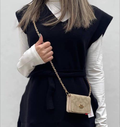 ترند شدن مینی‌بگ‌ها