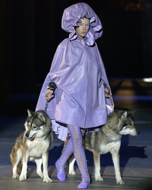 سگ‌ها در دنیای مد و فشن