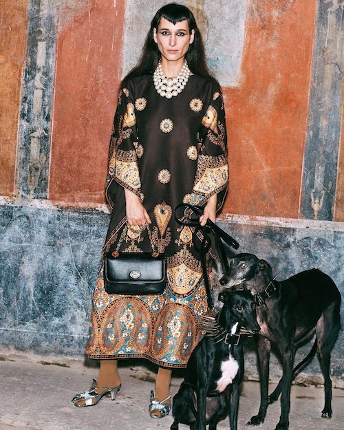 سگ‌ها در دنیای مد و فشن