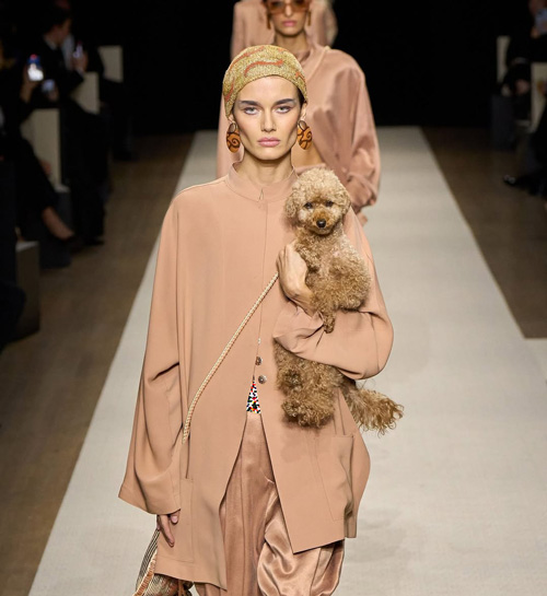 سگ‌ها در دنیای مد و فشن