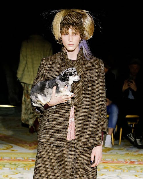 سگ‌ها در دنیای مد و فشن