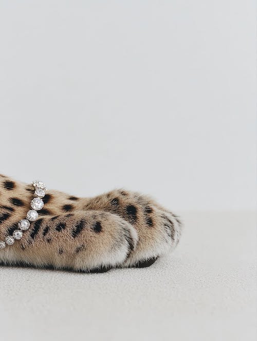 پلنگ با جواهرات