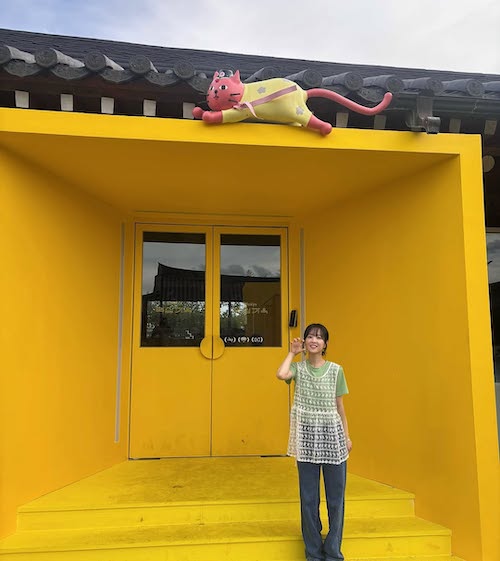 تی‌شرت و تاپ توری پارک بویونگ