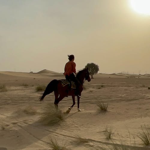 بازیگران کره‌ای در تبلیغ گردشگری دبی