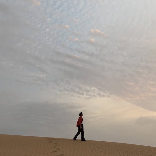 بازیگران کره‌ای در تبلیغ گردشگری دبی