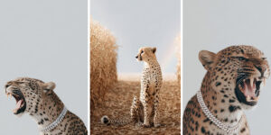 تصاویر جنجالی این پلنگ با جواهرات در شبکه‌های اجتماعی پربازدید شدند