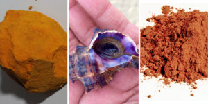 رنگ‌هایی که قبلا وجود داشتند اما این روزها رسما منقرض شده‌اند!