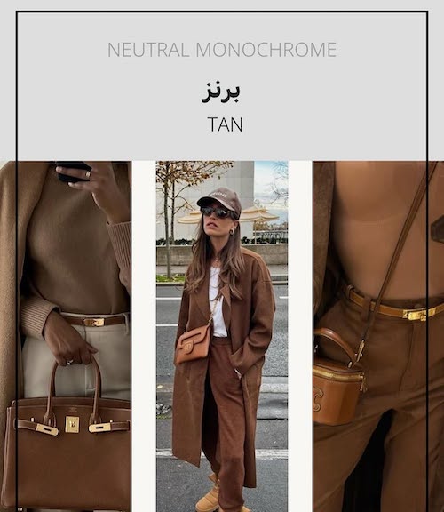 رنگ‌های جان‌گرفته در پاییز