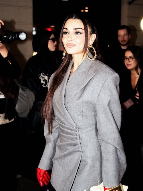 کفش سرخابی هانده ارچل