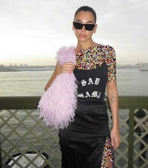 استایلهای ترندساز دوآ لیپا