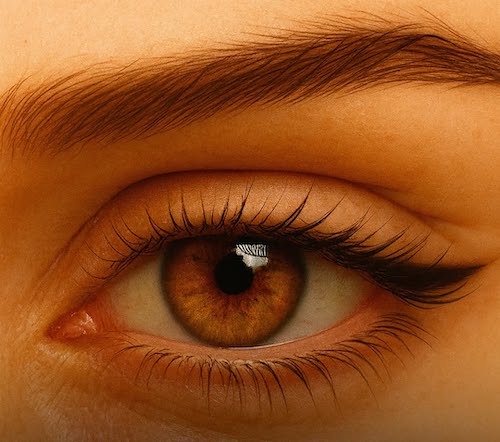 خط چشم مناسب برای انواع فرم چشم