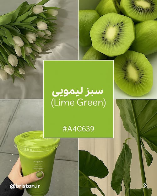 انواع رنگ سبز